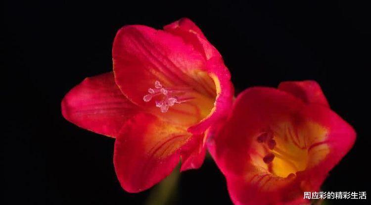 生肖|9月财喜进门，得贵人支持，不再为钱发愁的四大生肖