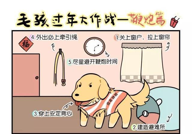 干尸狗狗绝食想结束生命……她每天跟它谈心，接着发生巨变！