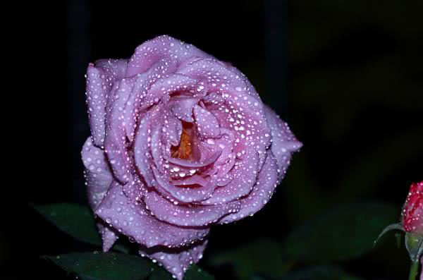 ：6月开始好运来临，会喜事临门，幸福在眼前的星座