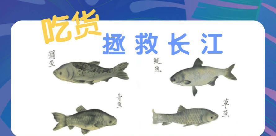 「」讨论：如果禁止钓鱼，鱼类会泛滥成灾？还是越来越少？