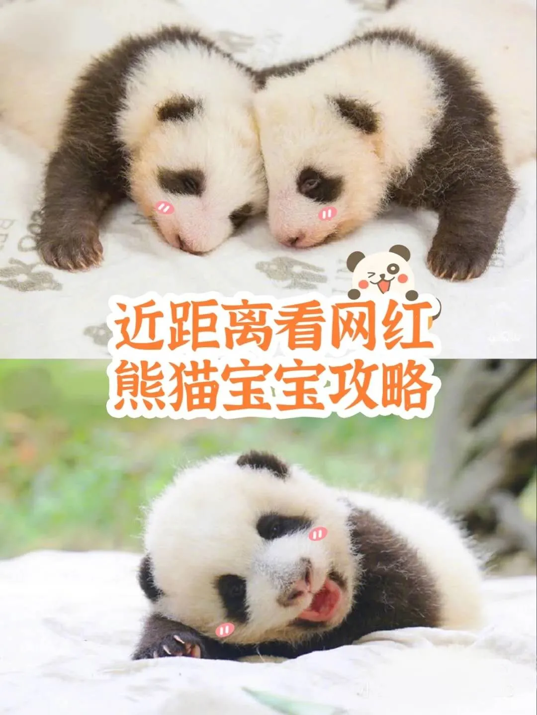 「重庆」30岁之前一定要完成的十场旅行