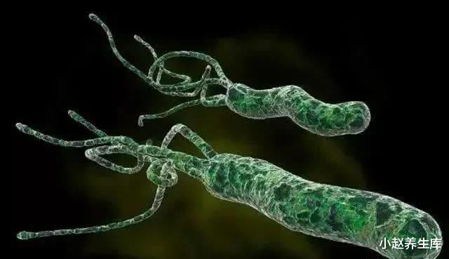 「幽门螺杆菌」幽门螺杆菌的“克星”找到了,多吃一口也行,给你的胃排排毒!