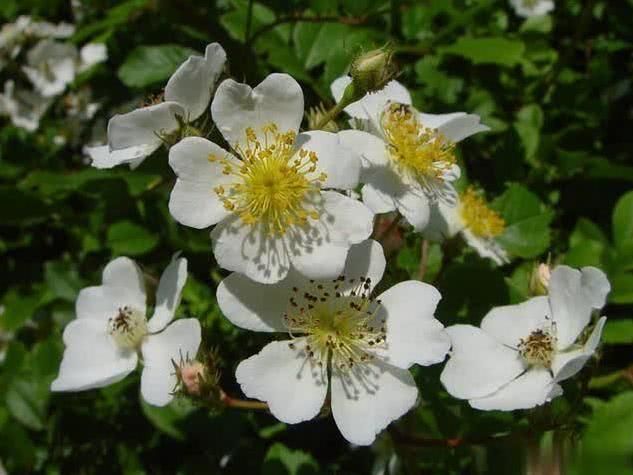 天蝎座|9月开始出门遇贵人,运势蹭蹭涨,一路发财,鱼跃龙门的四大生肖