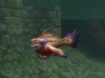 暴雪■魔兽怀旧服：暴雪官方对zug附魔bug的回应 荆棘谷钓鱼大赛已添加