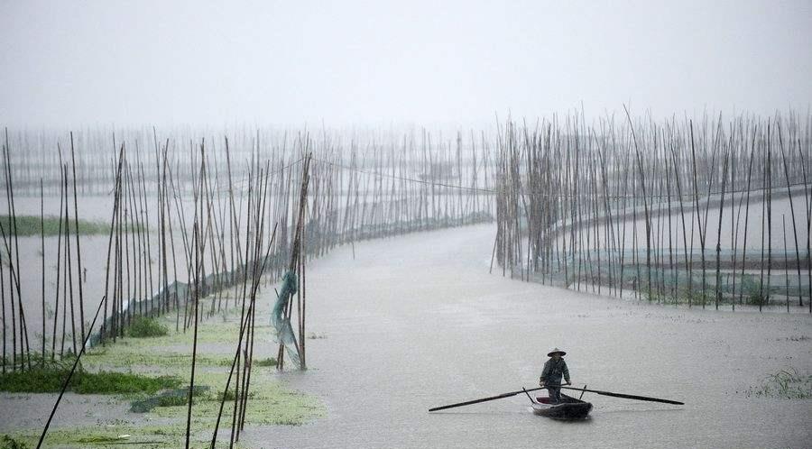湖北■湖北最大的淡水湖，景色不输杭州西湖，却少有人知道