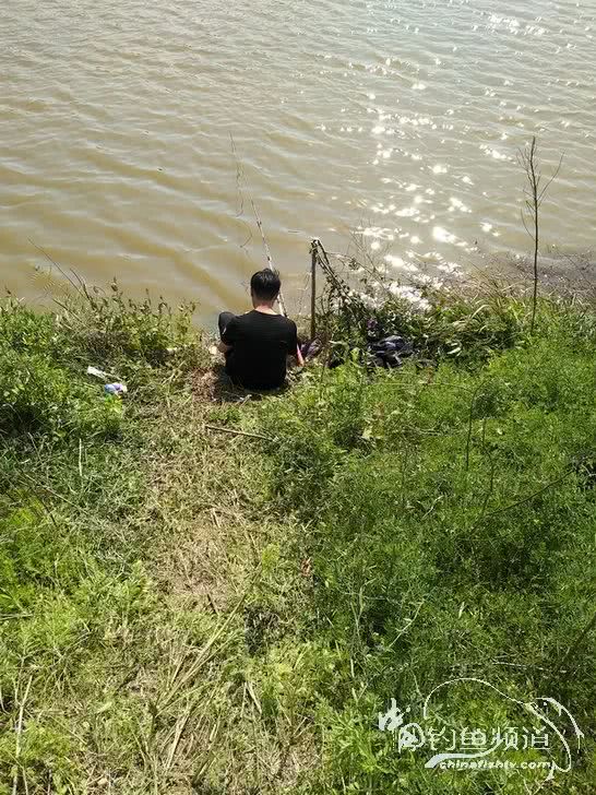 「」一招制敌！疯狂飞饼诱钓大草鱼！