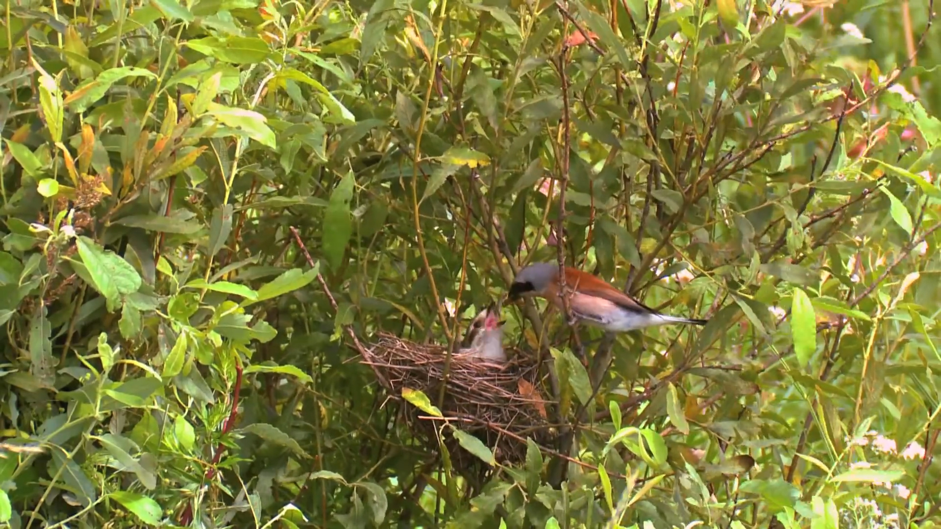 『』农历这几月份出生的人,4月过后,事业有成 财运来,生活无压力