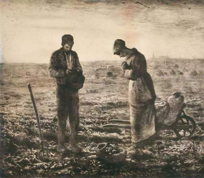 爱尔兰人|土豆——世界上最成功的植物之一,没有它可能就没有人类文明