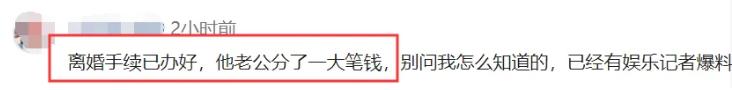 刘涛|刘涛发文谈婚变，老公13字回应，我在评论区看见人性最恶的一面