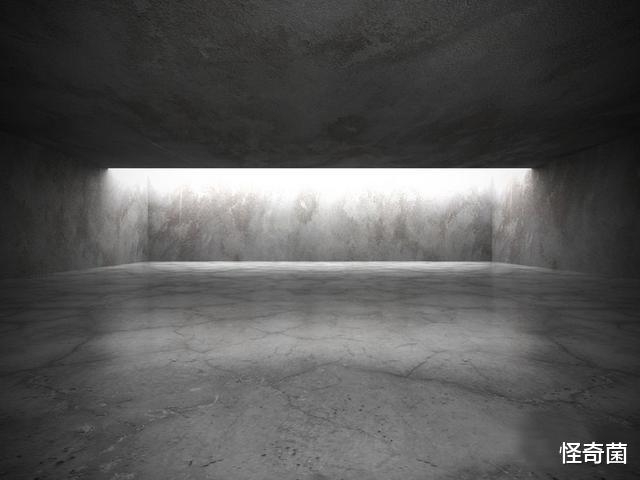 科学家|一条物理定律,揭示绝望事实,科学家称:宁愿没发现它