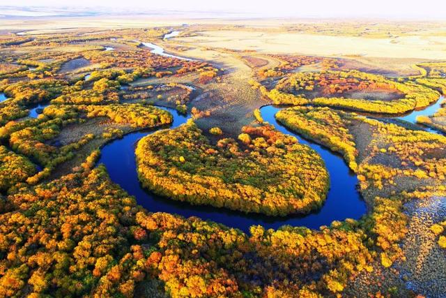 胡杨林|再过30天，全世界都要羡慕死中国了