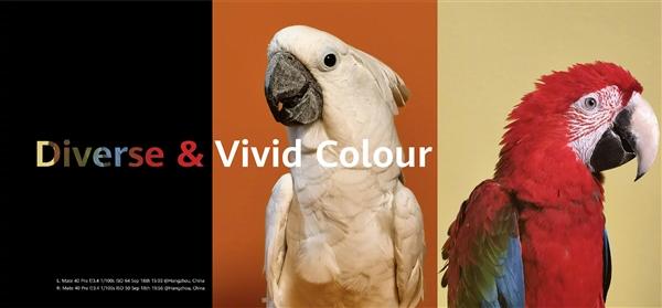 5G|华为Mate40 Pro/Pro+正式发布：100倍变焦五摄、快充终于提速