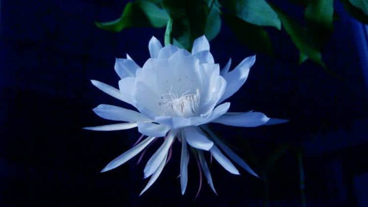 运势：6月中旬开始横财入口袋，得贵人支持，求财有道的4大属相