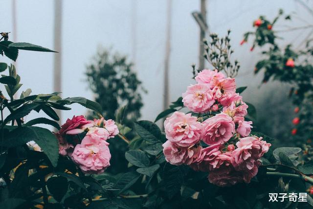 『天秤座』最易被旧人旧事牵绊的四个星座!