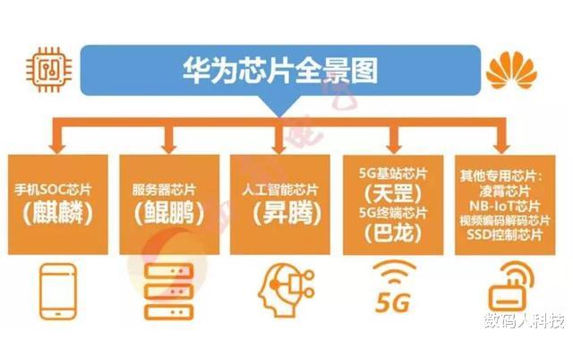 芯片|又一国产芯片巨头发力! 解决\芯片断供\之痛: 成华为手机最后保障