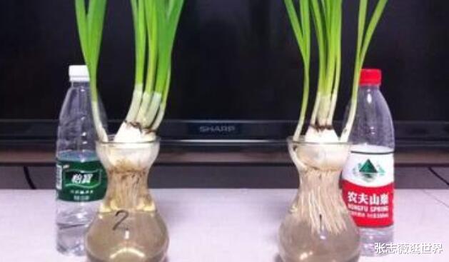 华为mate|农夫山泉喝出“新首富”，真是360行行行出状元