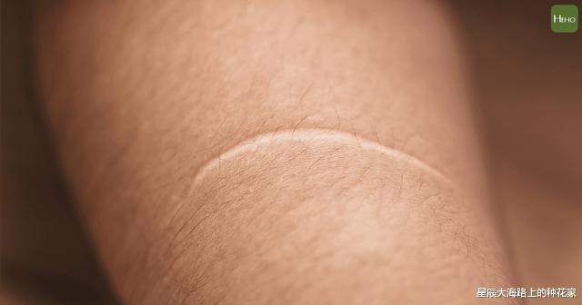 猩猩|都说人类是进化上的杰作：生理构造上，到底存在哪些不合理地方？