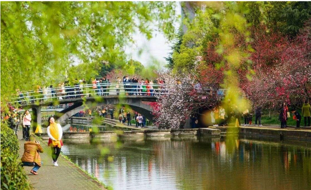 武汉|国内唯一惨遭降级的大学，从211沦为普通本科，受的打击实在太大