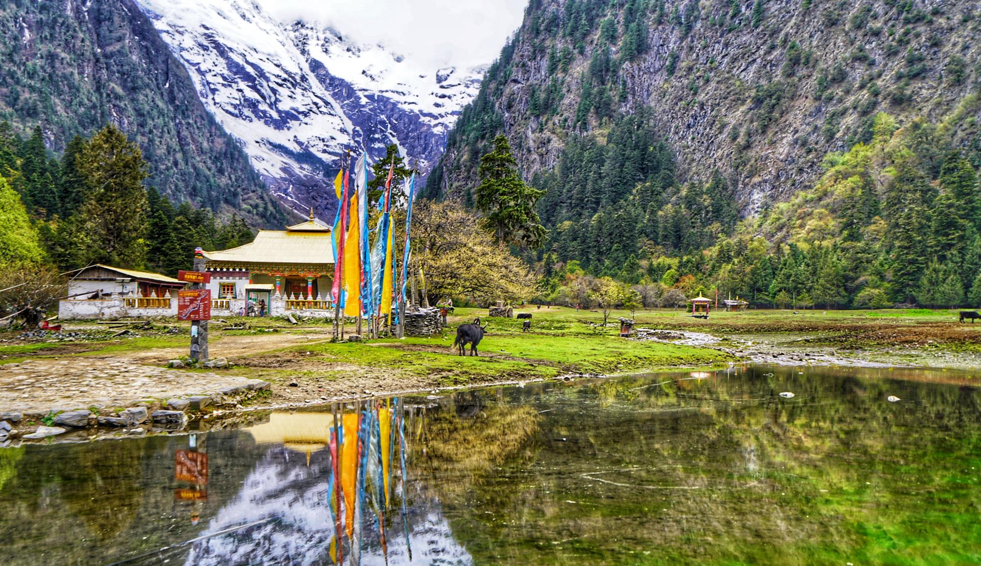 『雨崩村』高海拔徒步18公里累惨但值了，抵达人间仙境，雪山深处的雨崩村