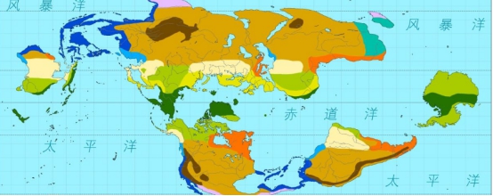 科学家|我们看到的地图都是错的？最真实的世界地图，“平等地球”上线