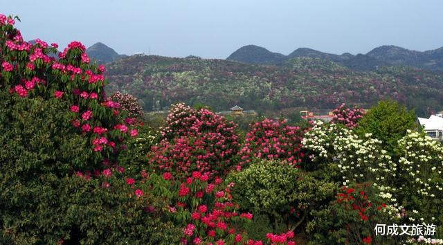 贵州：贵州一“花园”火了，堪称“世界第一”，门票120，却从不缺游客