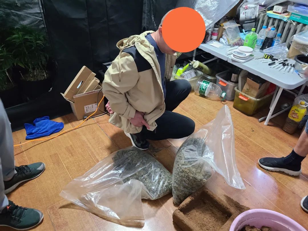 北京禁毒|两口子竟然把家变成了“热带雨林”？！夫妇俩制贩毒被抓