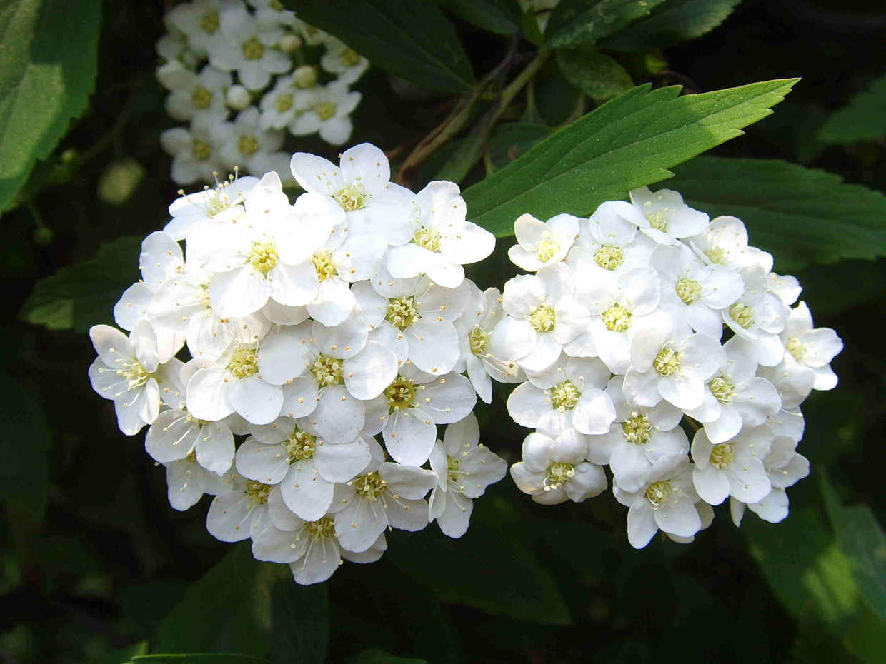 [狮子座]有3个星座女气质高贵，很优秀，但却不好接近