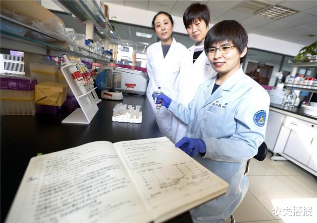 [历史揭秘]中国为什么能崛起呢？这次疫情，全世界才看懂