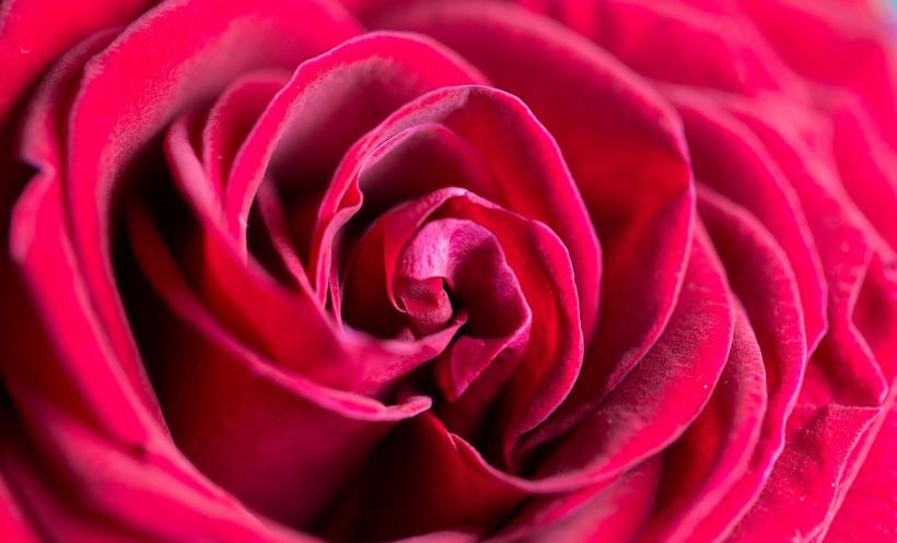 |8月份月老牵红线，抓紧了生肖爱情如约而至，结成良缘！