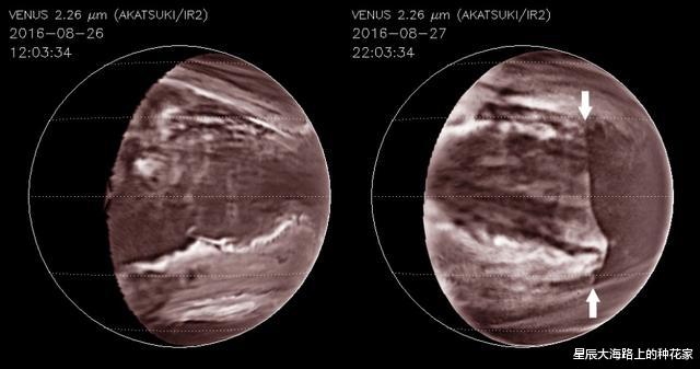 科学家|科学家检查云图，发现惊天巨浪正穿过金星，覆盖2/3面积！
