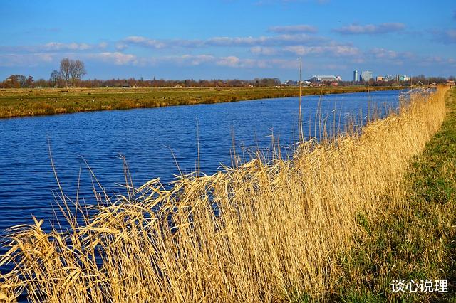 旧爱|10月,一生执念,一念之间,3星座情深难舍,与旧爱破镜重圆