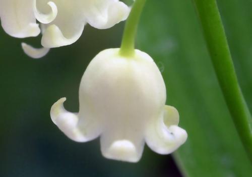 旧爱|7月底贵人相助,好运连连的3生肖,金钱收入越来越多,工作事业皆顺利