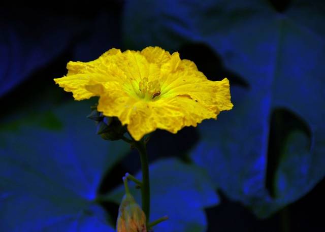 [属兔]4月喜鹊送大喜，大财连连，运势攀升机遇多的四属相