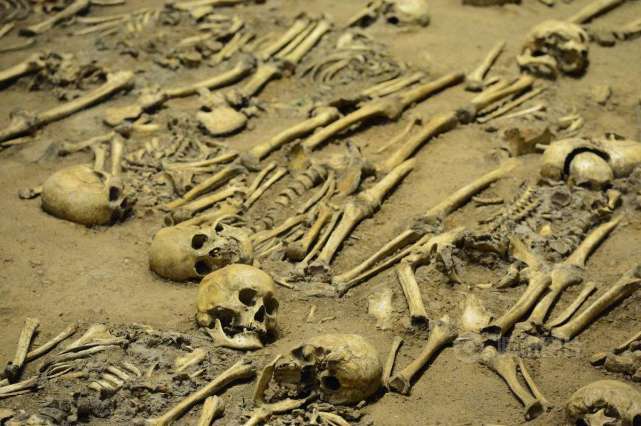 平流层▲你敢相信吗“3毫米”决定了我们人类的生死存亡