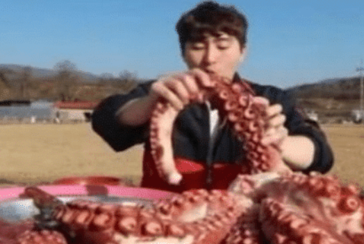 「章鱼」网红直播吃“大章鱼”当摄像头旋转360度就露馅了，网友：不怕死就继续吃