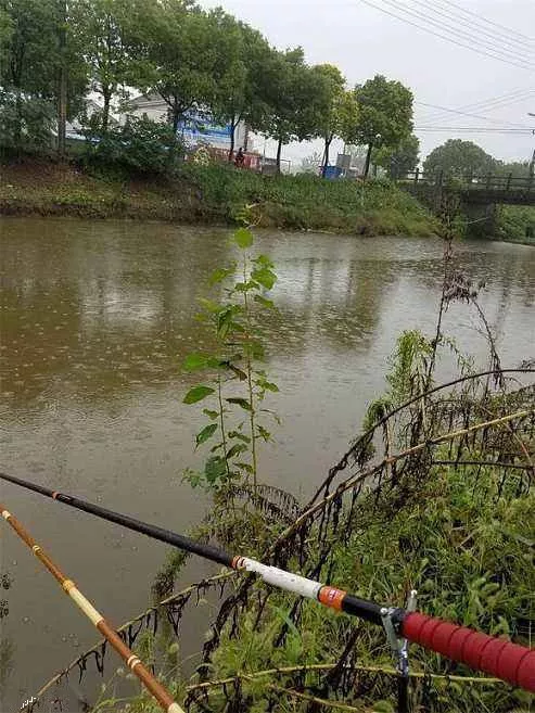 ##雨天钓鱼怎么钓?把握好鱼儿活跃的短暂时间