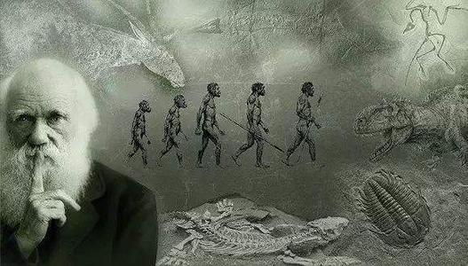 【癌细胞】人类是被设计出来的?科学家发现基因修改痕迹,我们只是人工智能