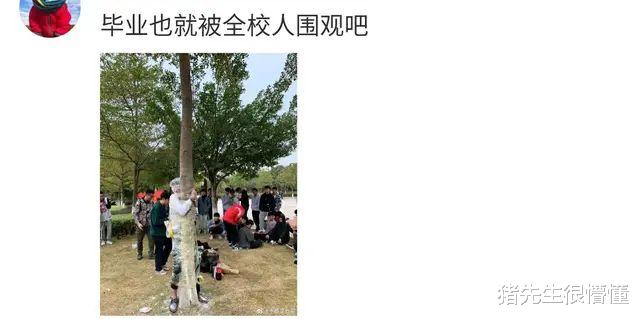 【数学】你在学校都做过什么惊天动地的事情呢?网友:我偏爱解校长鞋带!