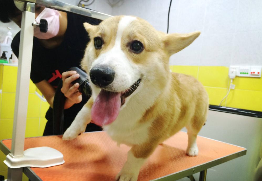 填报志愿|2021填报：女生很吃香的8大专业，家有女儿可以参考，比较靠谱