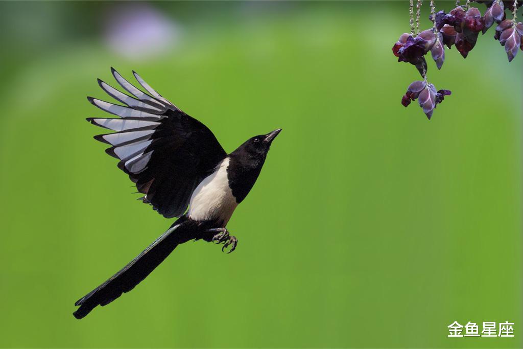 「生肖」此3生肖,贵人帮,财运守得云开见月明