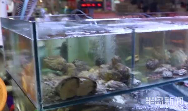 半岛新闻客户端|螃蟹50元、大海螺45元！记者走市场逛码头，青岛最“鲜”海货价格表来了