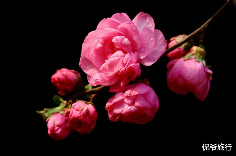 「」7月7号财运高升，拥有赚钱好机会的3属相，福气满满，让全家人都沾喜