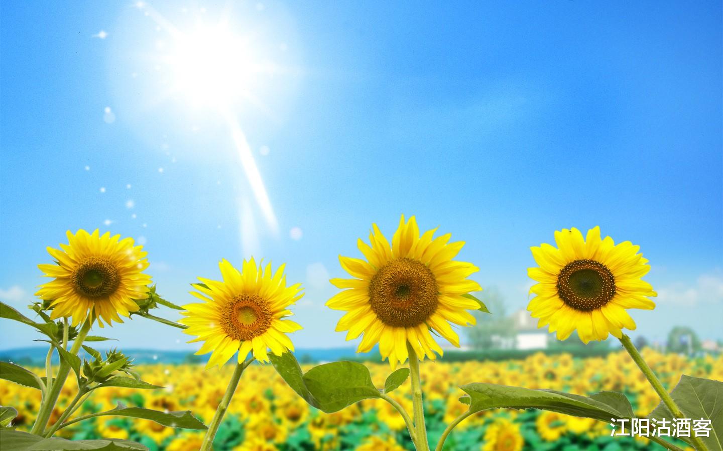 生肖▲6月22号,行大运,财发“千万”,日子红火多福的生肖,苦尽甘来