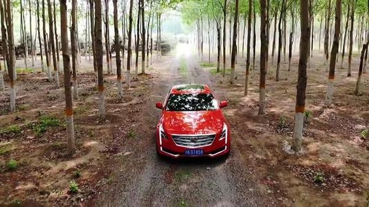 奥迪A4L|20~25万想提一辆b级车，最好是豪华品牌，网友们有什么推荐？