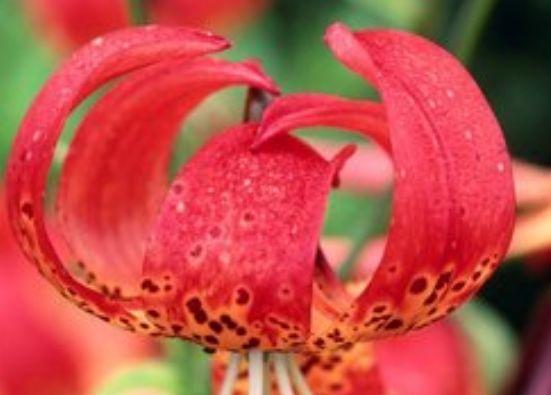 |9月上旬,横财降临,4属相事业运转旺,日子红火有财,一帆风顺