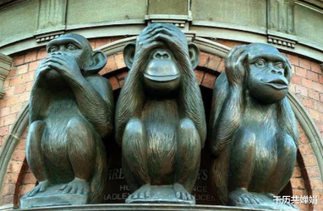 黑洞|不看、不听、不说的三不猴，多国都有其来源，是历史上的巧合吗？