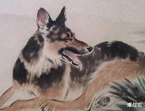 属狗|狗狗人：最近十五天，吉星驾临，喜鹊叫喳喳，好事来到家