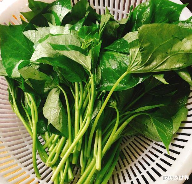 [红薯]7成人看不上它，却是“刮油冠军”，准时上厕所，排出毒素，穿啥都美