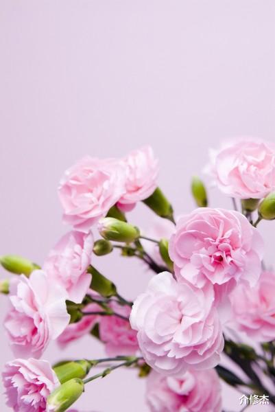 『大旺』六月下旬，魅力挡不住，异性缘超好，最“不愁嫁”的四大生肖