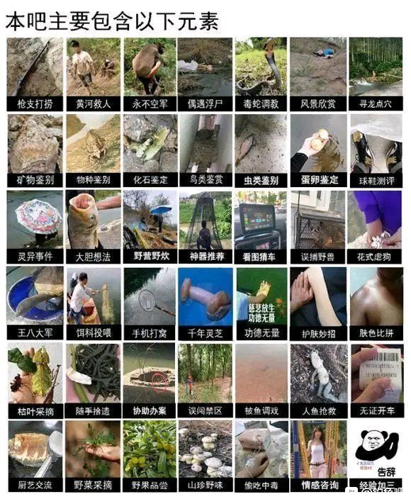 「」贴吧钓鱼佬,一群除了鱼,啥都能吊到的家伙